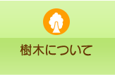 樹木について